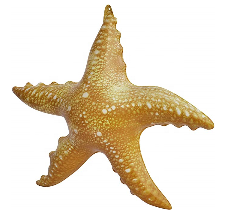 Inflatable starfish