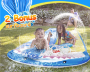 Shark slides with surfboards
