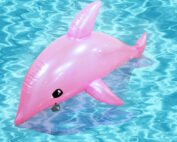 Inflatable Transparent Dolphins
